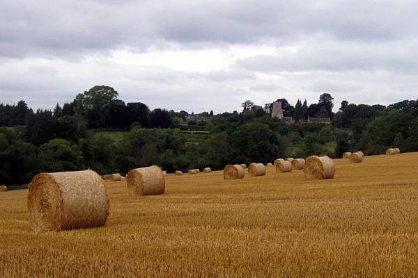 Harvest - church view.jpg